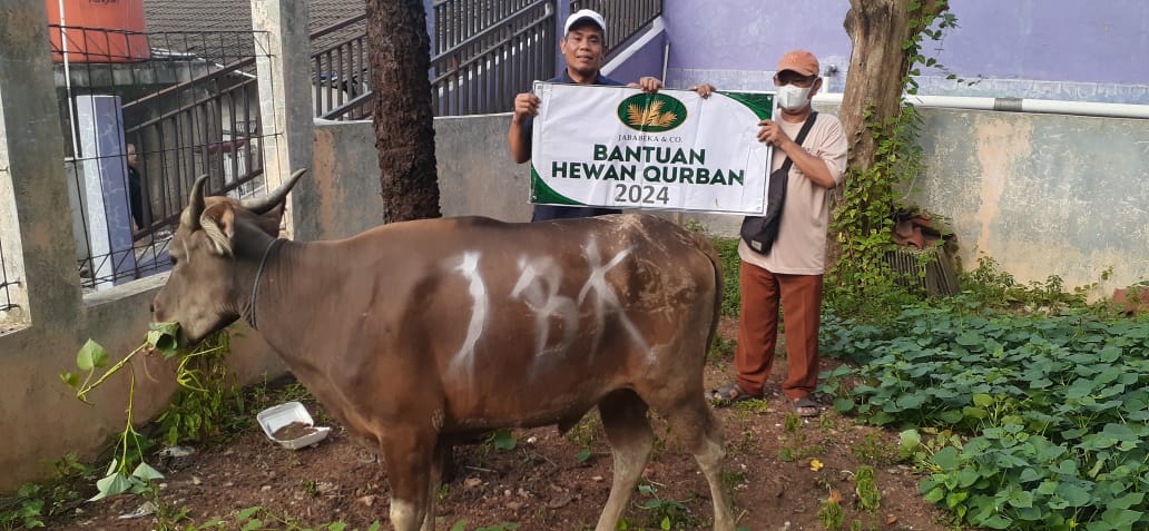 Program Pemberian Hewan Qurban